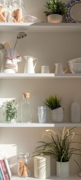 image etagere avec bocaux assiettes tasses plantes livres